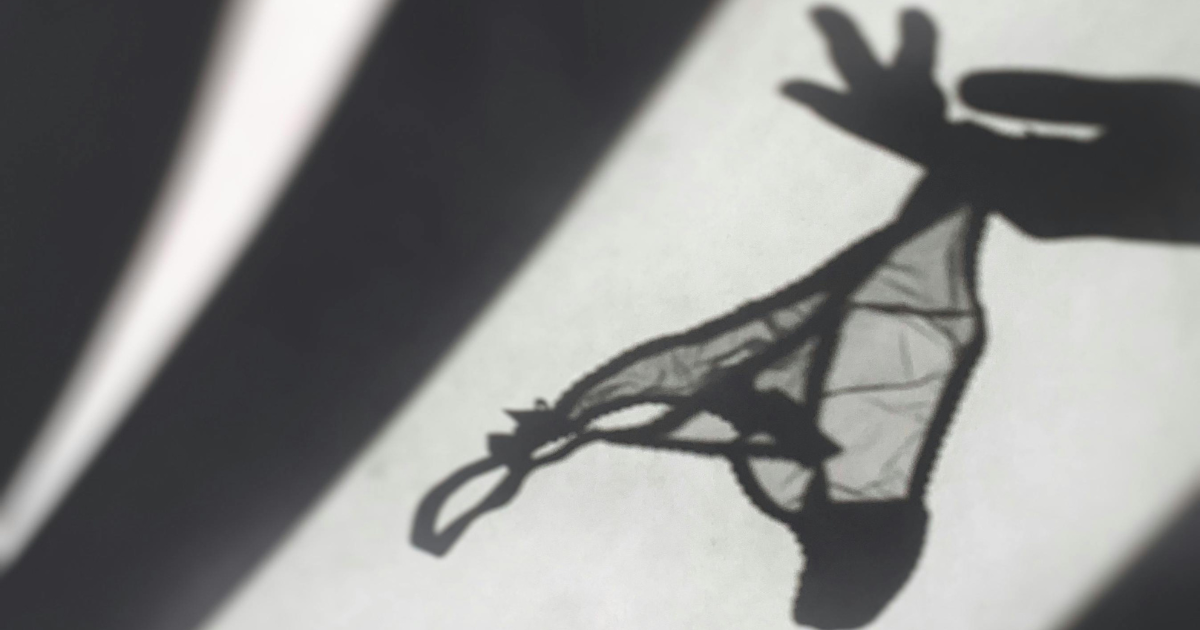 The image depicts a black and white shadow silhouette of a hand holding up a delicate lace panty. The soft lighting and the shadow effect create an elegant and artistic visual, emphasizing the intricate details of the lingerie. This style of photography adds a touch of mystery and sophistication to the subject, making it an ideal representation for a guide on panty styles